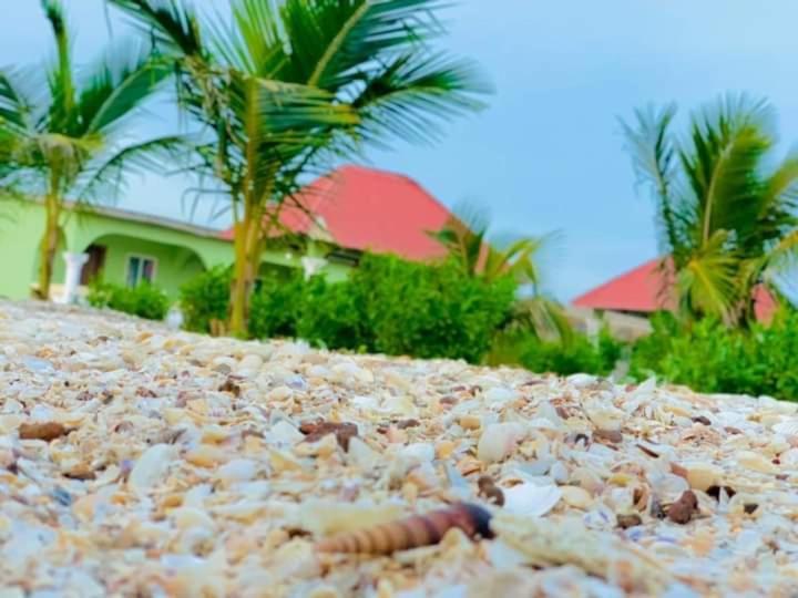 Bosofet Beach And Creek Lodge Sanyang Eksteriør bilde